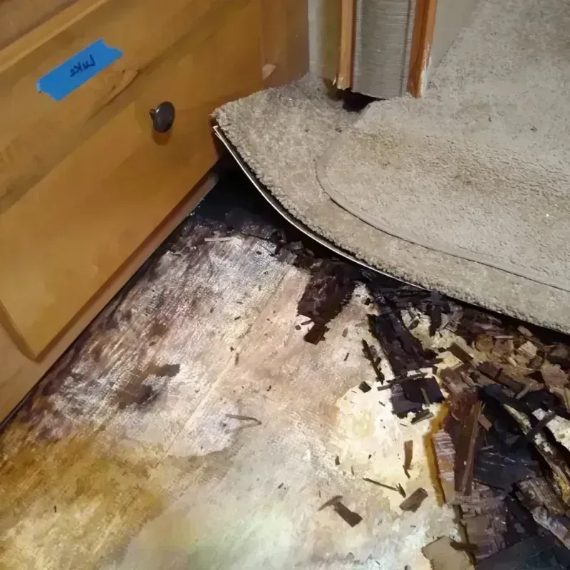 Wood Floor Water Damage in Farmington, MI